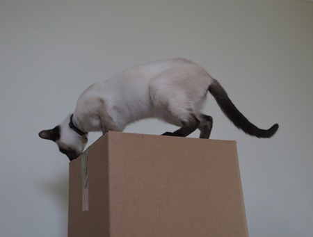 boxes 3JPG
