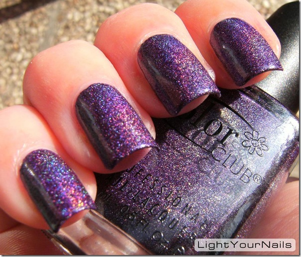 Color Club Wild At Heart