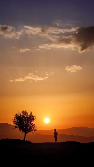 Loneliness, Sun, Silhouette, Sunset, Tree