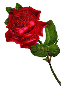 digital rose flower image