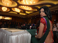 Sherlyn, Chopra, is, the, first, Indian, woman, on, adult, Playboy, magazine