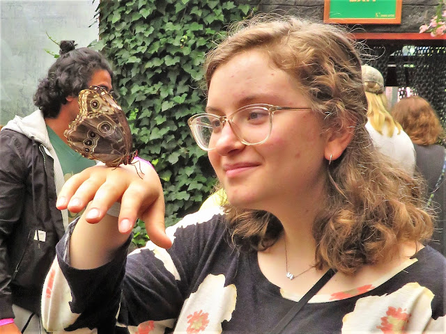 Anna Mueller with a butterfly in Costa Rica.