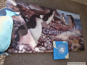 Boulders Beach