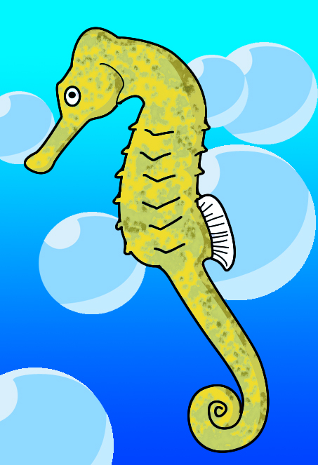 How To Draw A Seahorse - Draw Central
