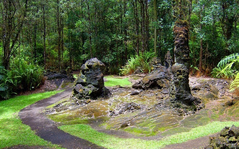 lava-trees-2