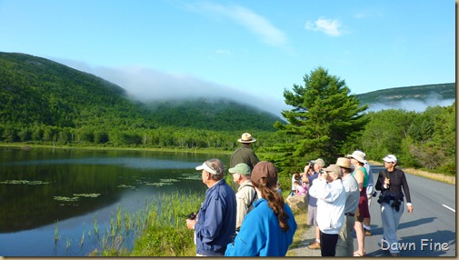 Gorham mt hike_002 Gorham mt hike_002