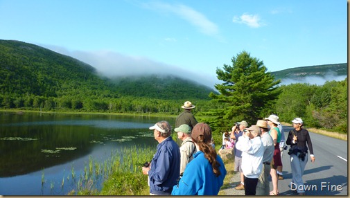 Gorham mt hike_002