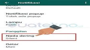 Cara Menonaktifkan Panggilan Whatsapp