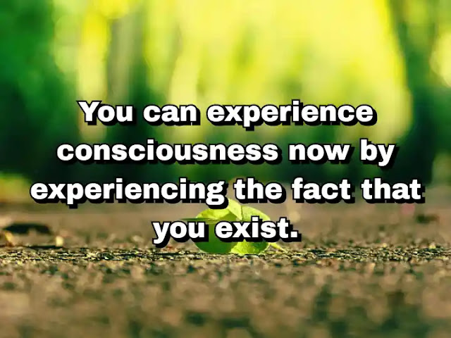 "You can experience consciousness now by experiencing the fact that you exist." ~ Barry Long