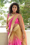 pavani new photos in saree-thumbnail-40