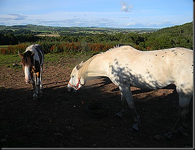 aug 2011 the farm 001