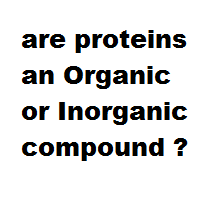 are proteins an Organic or Inorganic compound ?