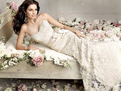 Amazing Wedding Dresses on Dress White Wedding Dress Wedding Dresses 2011 Cute Nice Amazing