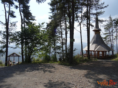 Altar cu Belvedere Toplita Tarnita