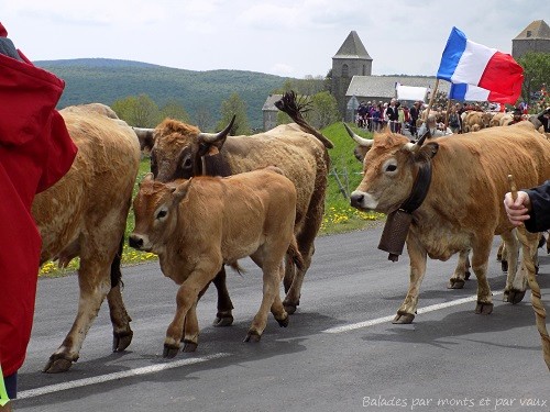 Aveyron