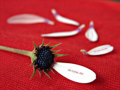 valentines+day+gift+for+boyfriend+(2)