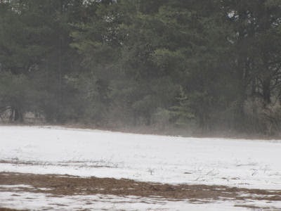 snow sublimating in field