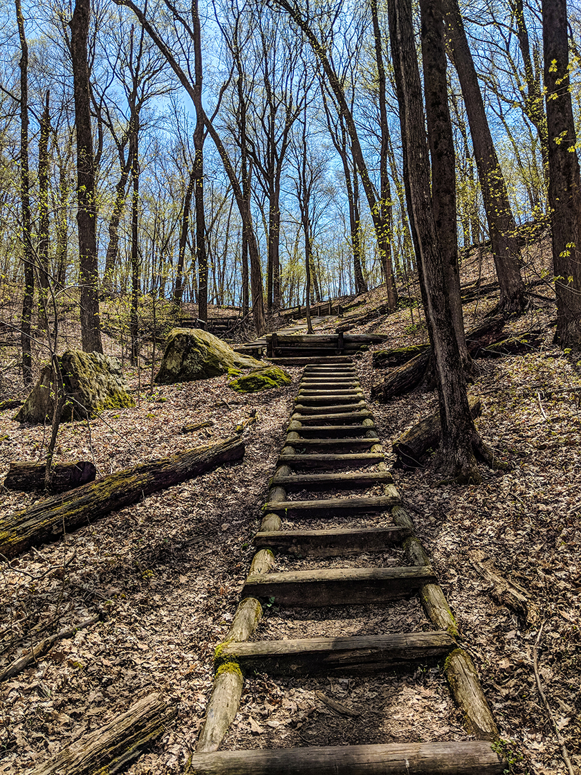 Pine Cliff Trail at Governor Dodge State Park