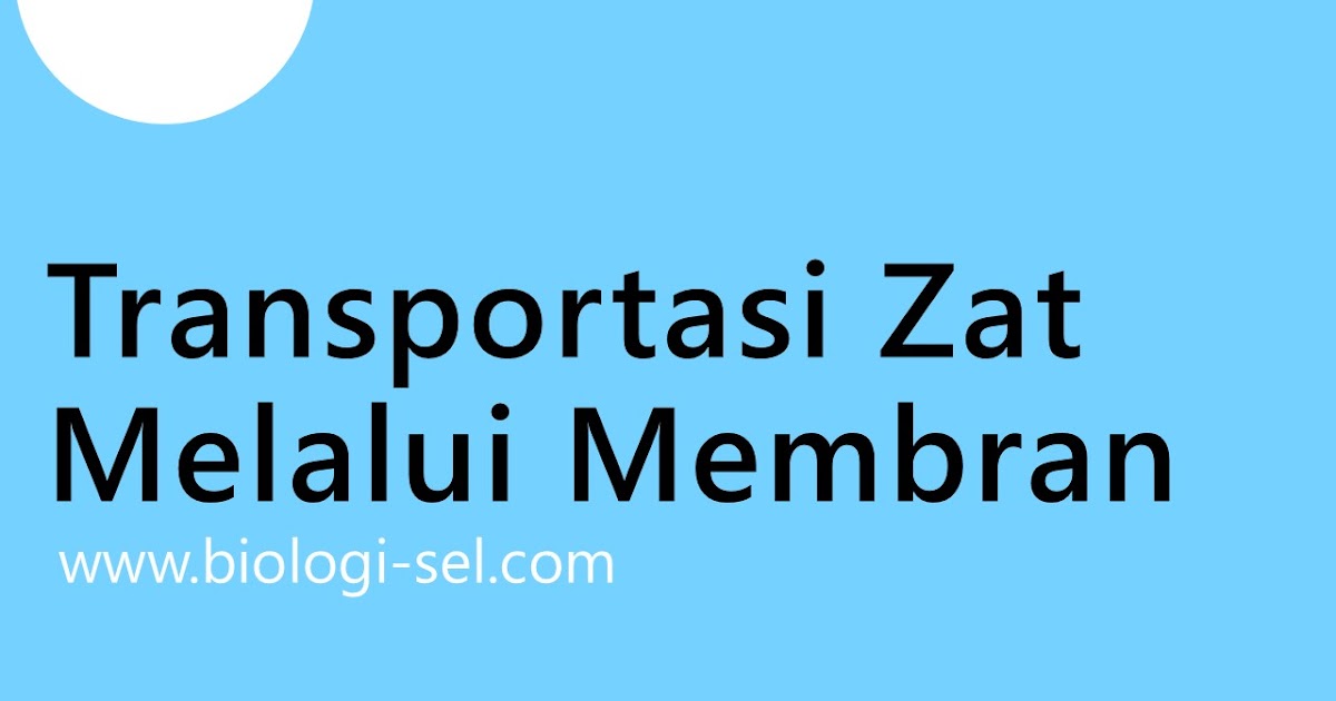 Contoh Difusi Dan Osmosis Dalam Kehidupan - Contoh 36