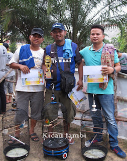 Juara 1, 2 dan 3 lovebird kicau mania