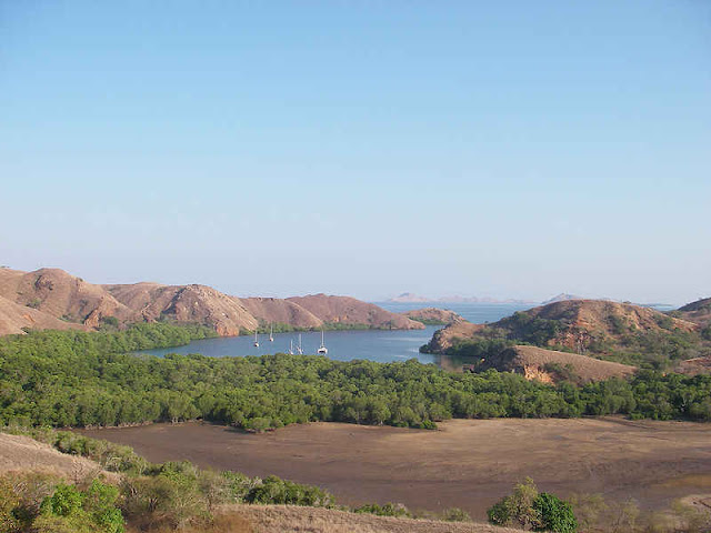 Pulau Komodo