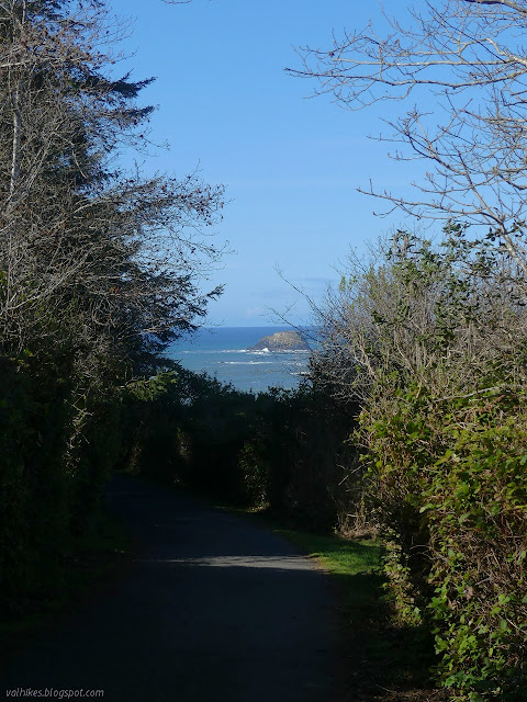 road sided with vegetation, island visibie in the distance