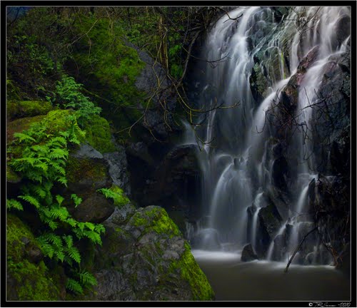 Black Hole Of Calcutta Falls3