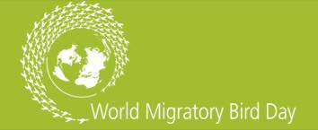 World Migratory Bird Day Wishes For Facebook
