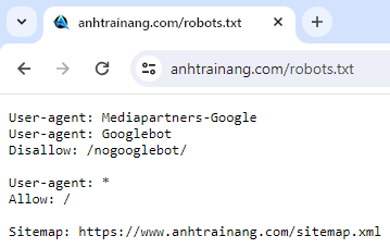 Cách thiết lập Robots Txt tùy chỉnh trong Blogger mới nhất