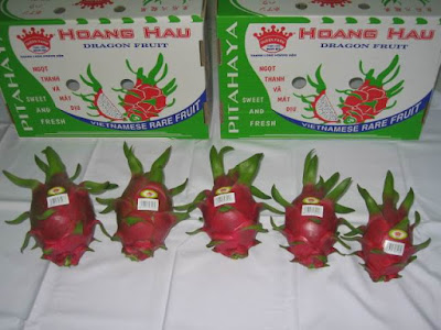 Dragon fruit, Rambutan, Durian, Companies exporting dragon Vietnam 