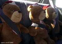 buckle up teddies