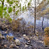 Incendios forestales y la tala de árboles afectan ríos de La Guázara