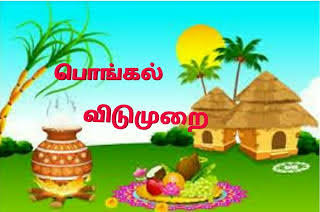 Pongal Festival: 4 days holiday for schools and colleges