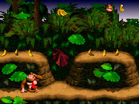 DKC - img 1