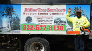 Delfino Sanchez standing in front of large truck with sign reading aldine tree services houston stump grinding