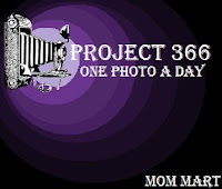 Project 366