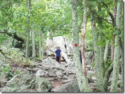 clip_image097[4]