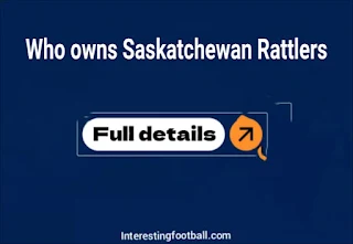 Who owns the Saskatchewan Rattlers? Owner's net worth, source of wealth and ownership history