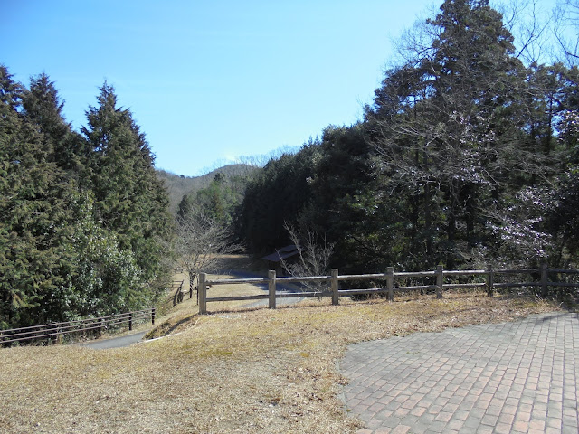 森林公園キャンプ場