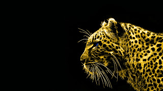 golden black backgrounds, golden black wallpaper, widescreen leopard