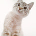 Never Too Late: If you missed the IPKat Last Week!