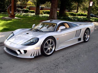 Saleen twin 