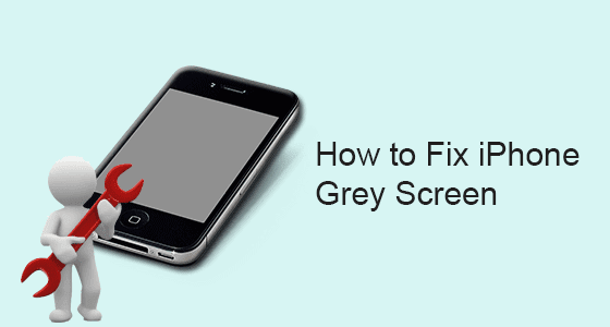 how to fix iPhone grey screen