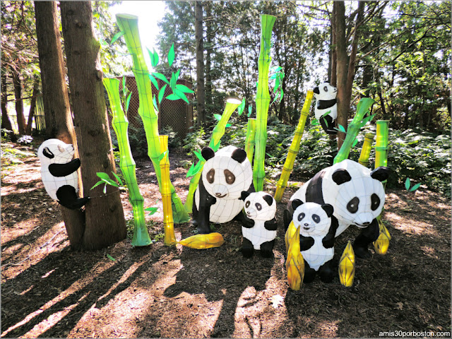 Linternas de Familias de Animales del Gardens of Lighten en el Jardín Chino, Montreal