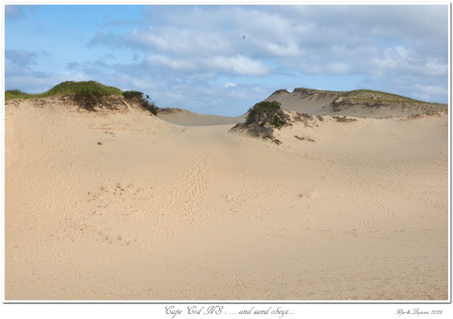 Cape Cod NS: ... and sand obeys...