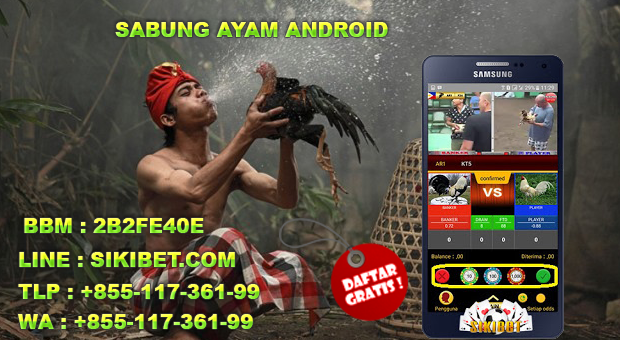 Daftar Sabung Ayam Android 