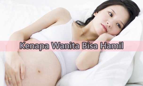 Kiat Sukses Untuk Wanita Agar Bisa Cepat Hamil