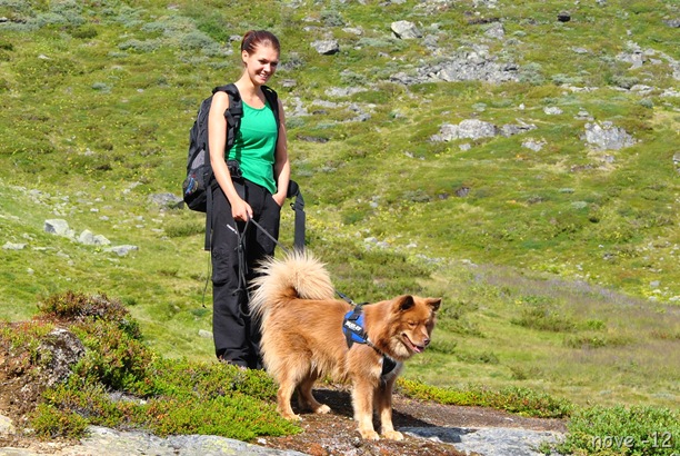 Iungsdalen 105