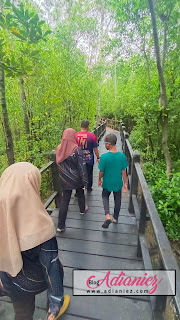 Air pasang besar di Taman Negara Tanjung Piai | Teruja!