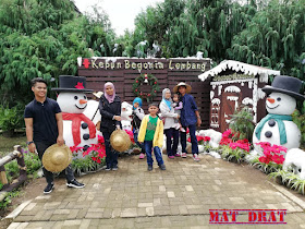 Bercuti Bandung Kebun Begonia Lembang